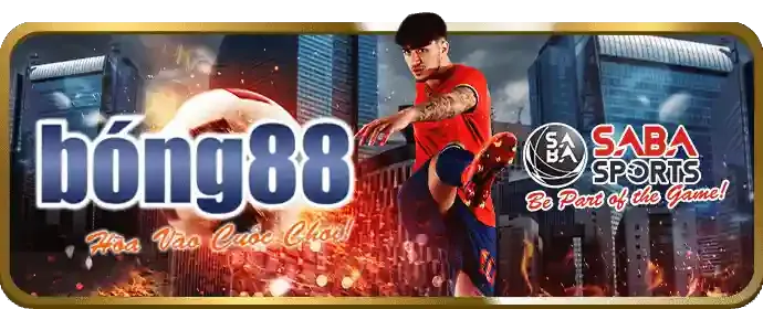 Tham gia cá cược tại tin88 code